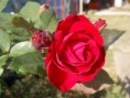 /album/fotogaleria/a319321-492098360807550-926666781-n-jpg/